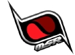 MSRマーク.jpg