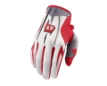 glv_axxis_red_gry.jpg