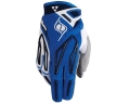 Glv_010NXT_Blue.jpg