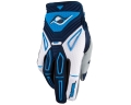 Glv_010Ren_Blue.jpg