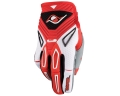 Glv_010Ren_Red.jpg