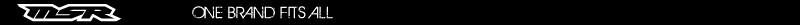 10MSRロゴ.psd