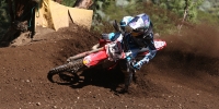 Mammoth_157.jpg